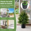 2-Pack Artificial Cedar Topiary Ball Tree with Cement Pot